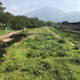 The “Green Way,” which begins at the river running down from the mountain and runs the length of Shenzhen, offers joggers and cyclists an uninterrupted path.